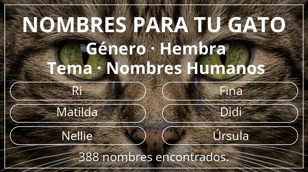 Nombres para gatos basados en género hembra y tema nombres humanos