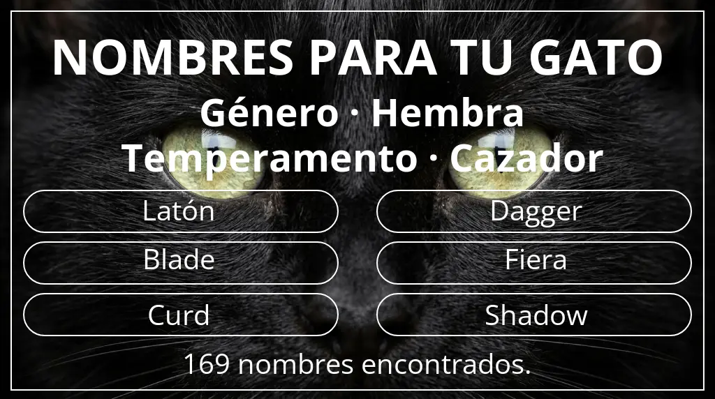 Nombres felinos inspirados en género hembra y temperamento cazador