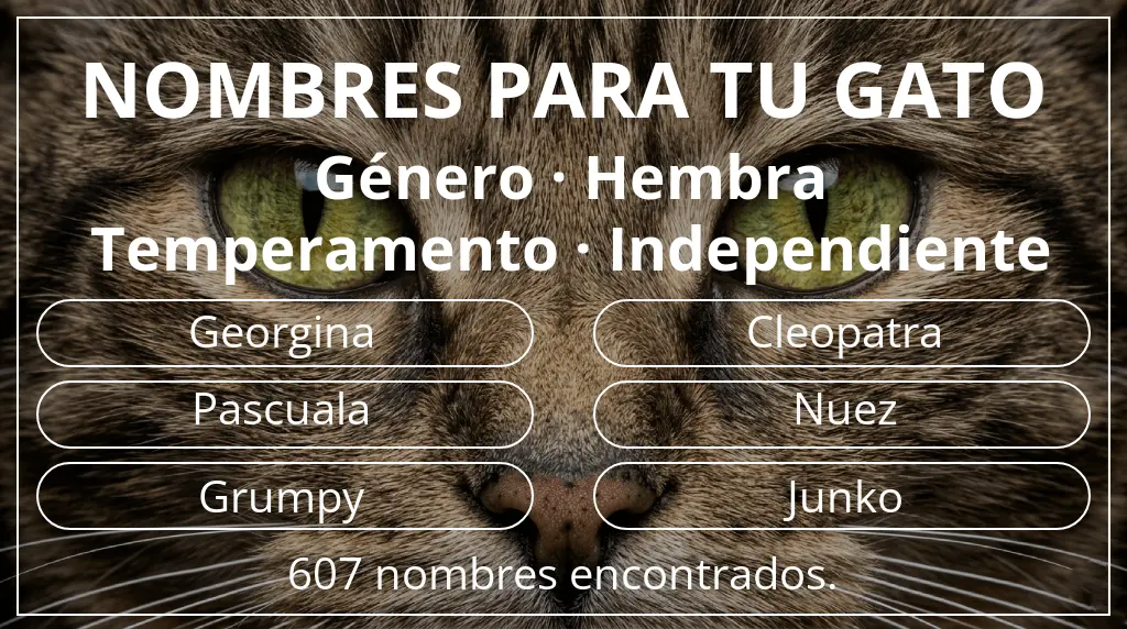 Nombres para gatos relacionados con género hembra y temperamento independiente