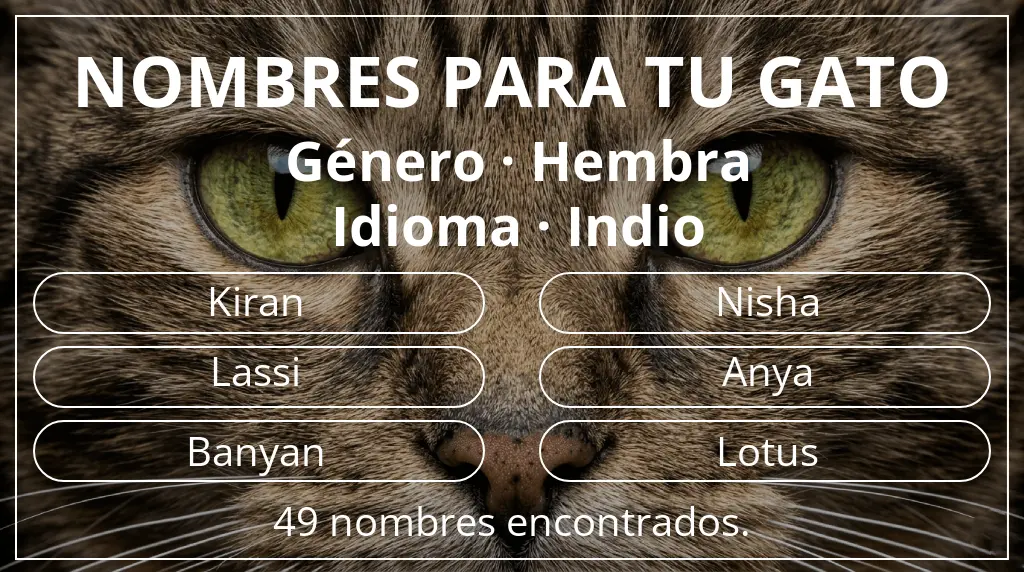 Nombres para gatos basados en género hembra y idioma indio