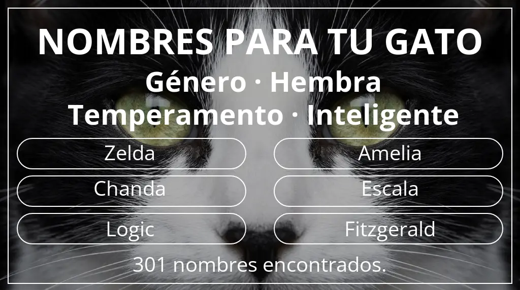 Nombres para gatos inspirados en género hembra y temperamento inteligente