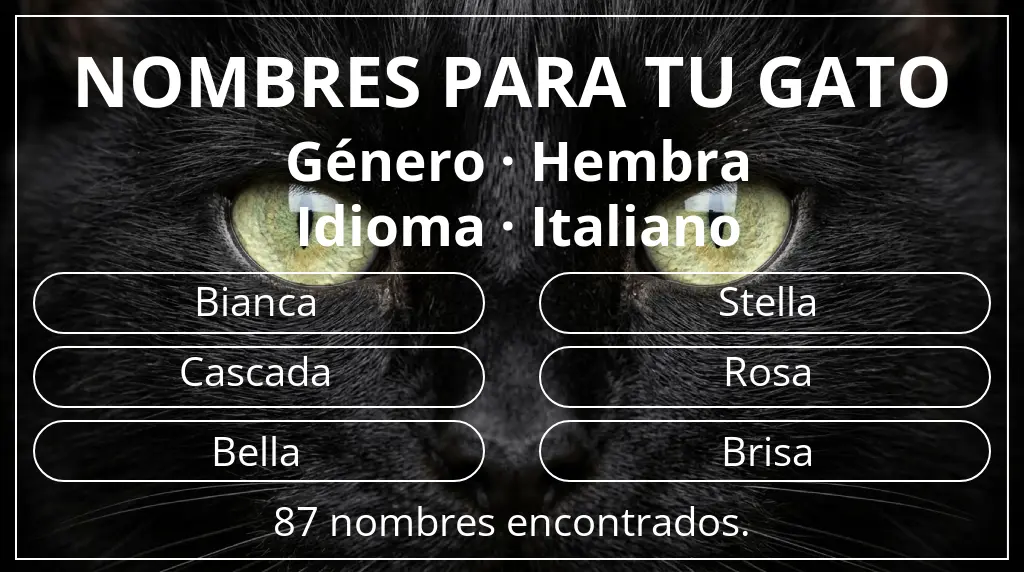 Nombres felinos relacionados con género hembra y idioma italiano