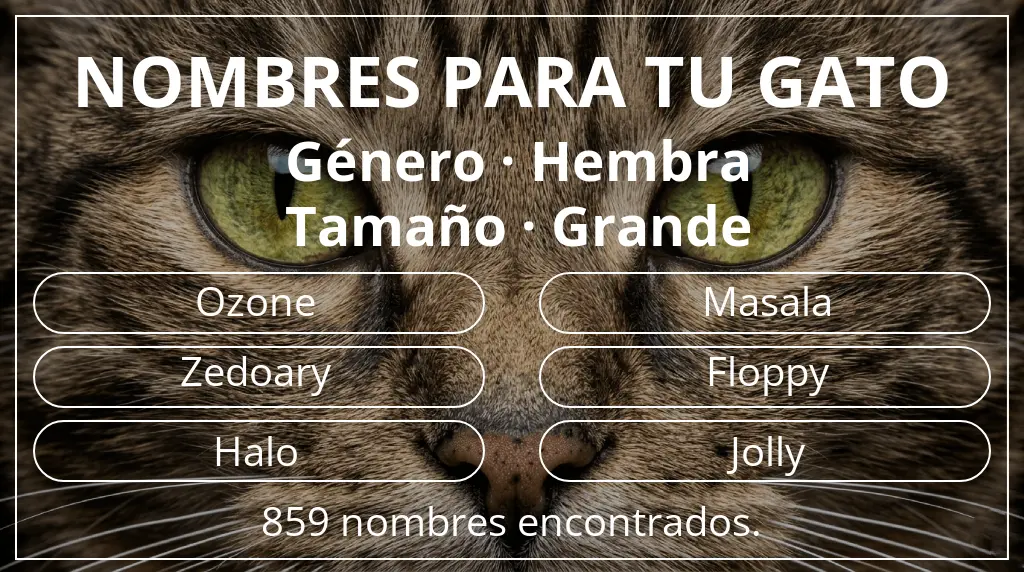Nombres felinos inspirados en género hembra y tamaño grande
