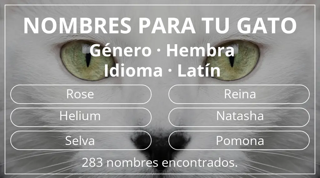 Nombres para gatos basados en género hembra y idioma latín