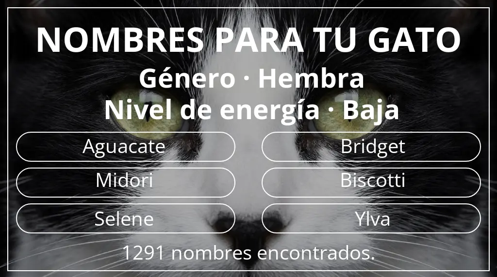 Nombres para gatos basados en género hembra y nivel de energía baja
