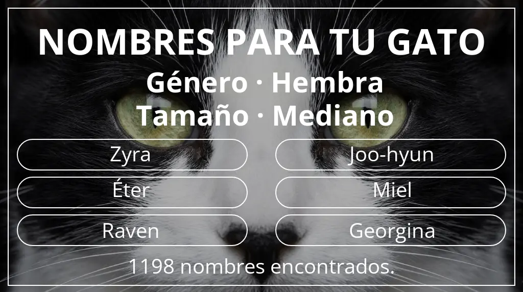 Nombres felinos relacionados con género hembra y tamaño mediano