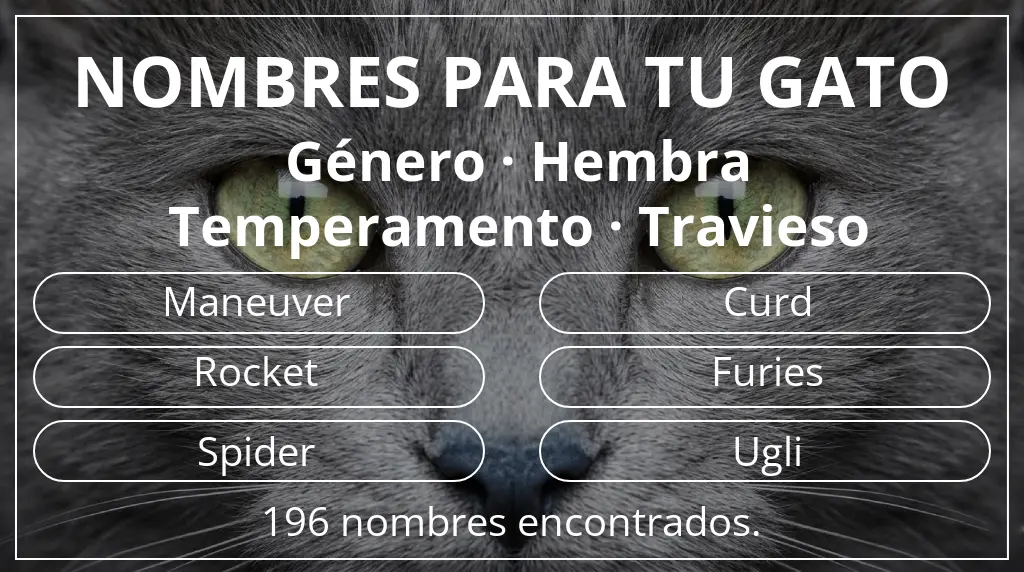 Nombres para gatos relacionados con género hembra y temperamento travieso