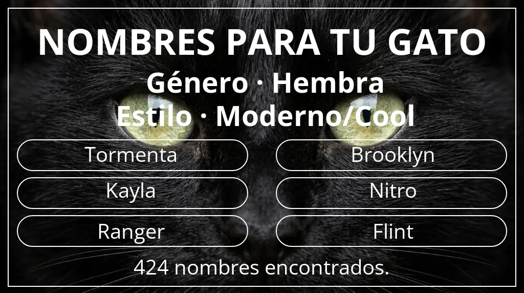 Nombres felinos relacionados con género hembra y estilo moderno/cool