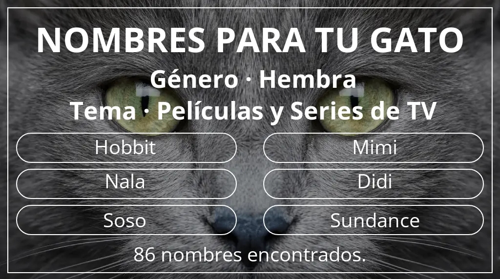 Nombres para gatos relacionados con género hembra y tema películas y series de tv