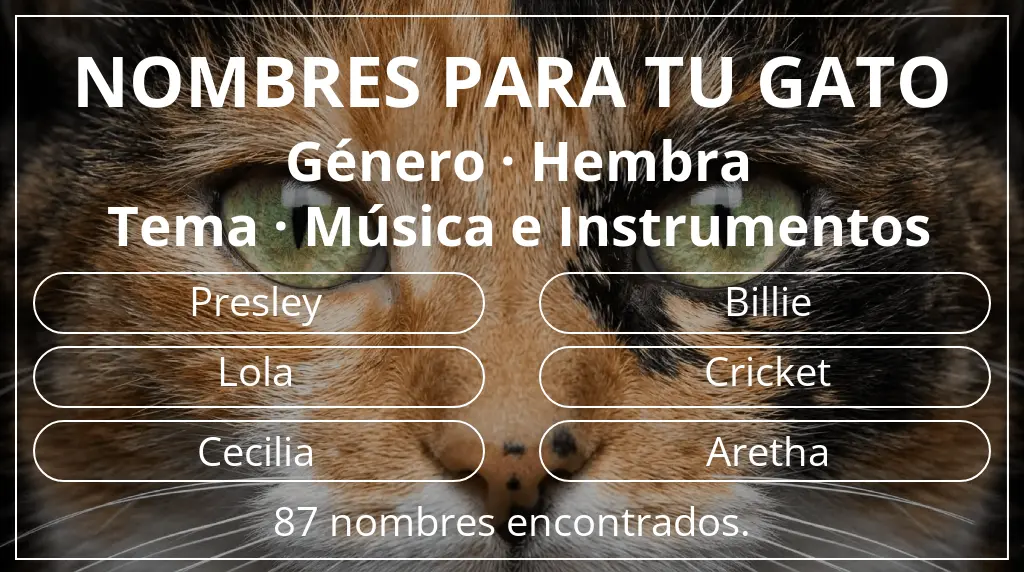 Nombres felinos inspirados en género hembra y tema música e instrumentos