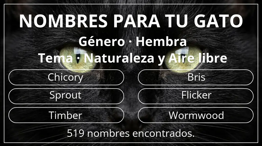 Nombres para gatos inspirados en género hembra y tema naturaleza y aire libre
