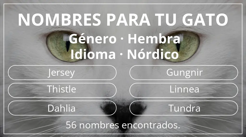 Nombres felinos inspirados en género hembra y idioma nórdico