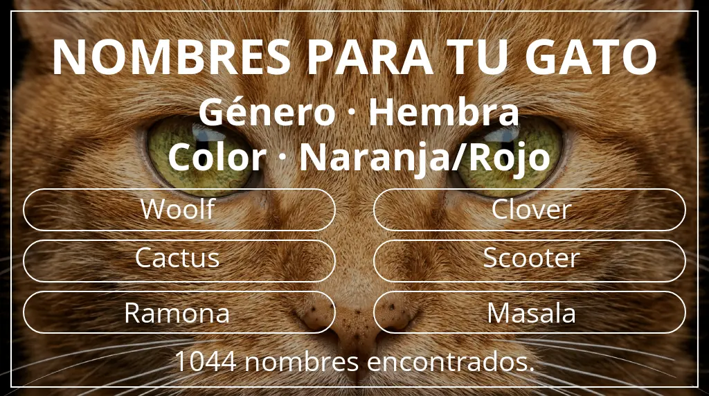 Nombres para gatos relacionados con género hembra y color naranja/rojo