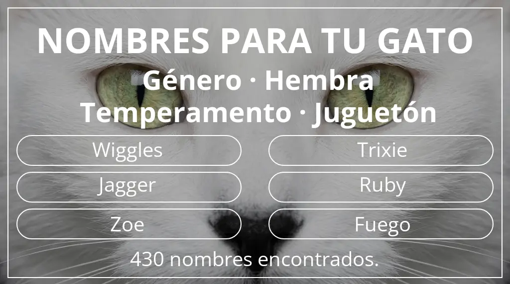 Nombres para gatos basados en género hembra y temperamento juguetón