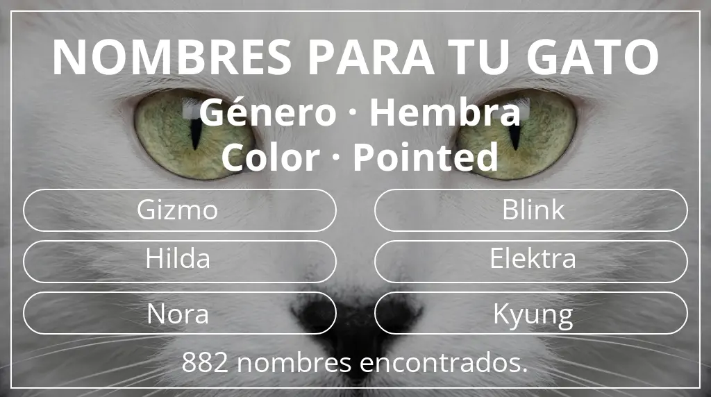 Nombres para gatos basados en género hembra y color pointed