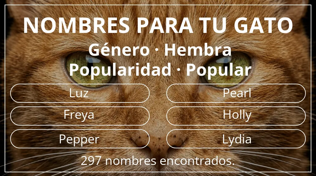 Nombres felinos inspirados en género hembra y popularidad popular
