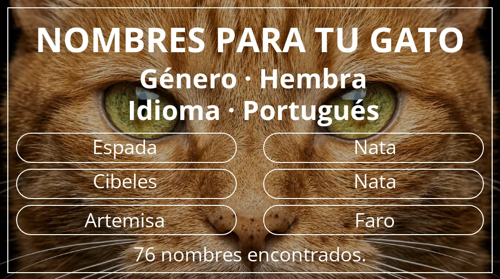 Nombres para gatos relacionados con género hembra y idioma portugués