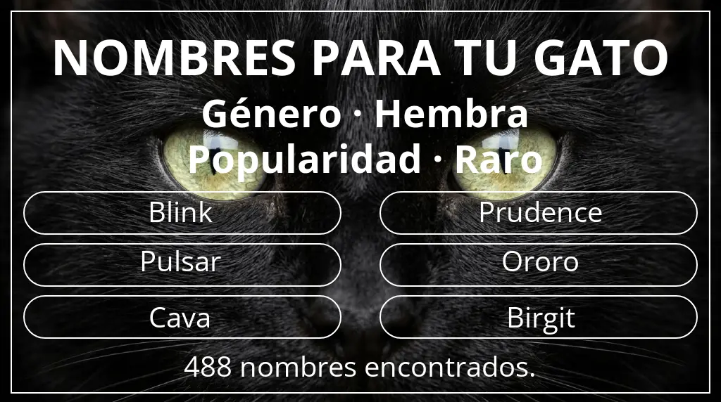 Nombres para gatos inspirados en género hembra y popularidad raro