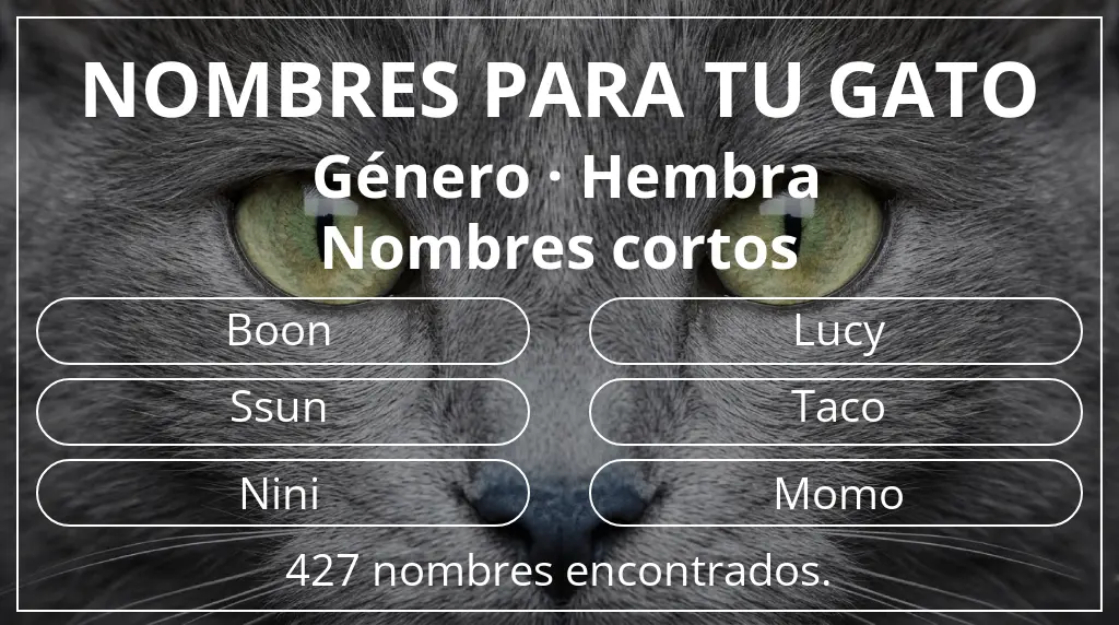Nombres para gatos basados en género hembra y longitud del nombre corto (2-4)
