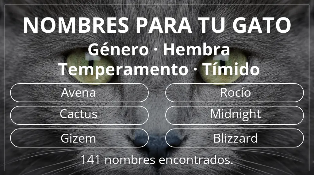 Nombres felinos inspirados en género hembra y temperamento tímido