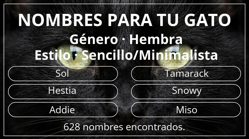 Nombres para gatos inspirados en género hembra y estilo sencillo/minimalista