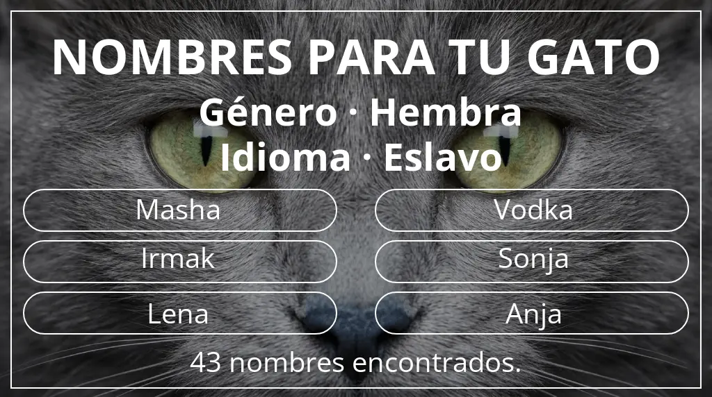 Nombres felinos inspirados en género hembra y idioma eslavo
