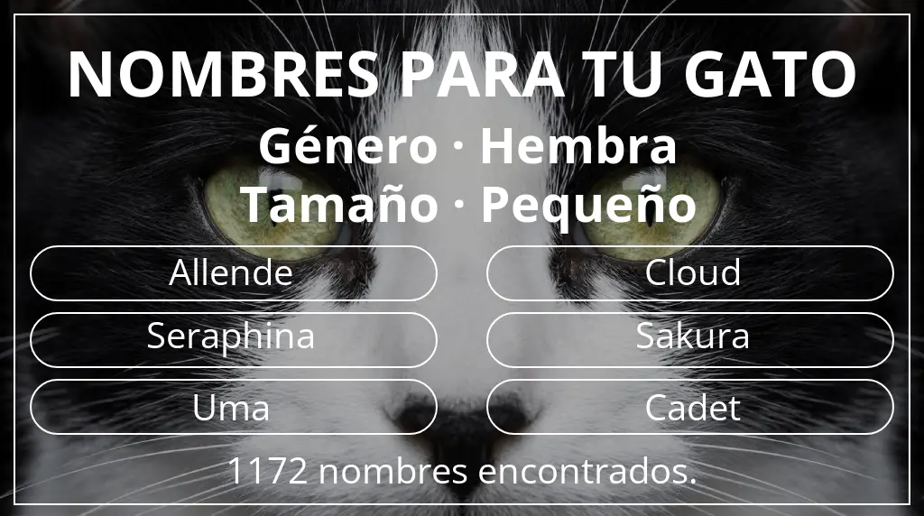 Nombres para gatos inspirados en género hembra y tamaño pequeño