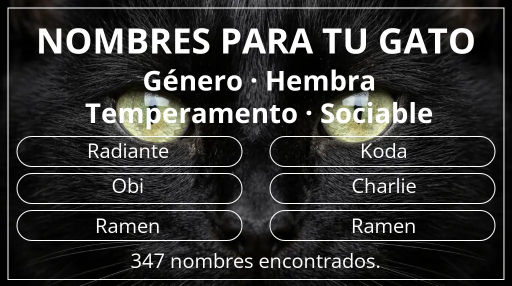 Nombres para gatos basados en género hembra y temperamento sociable