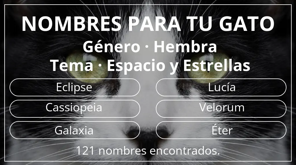 Nombres para gatos basados en género hembra y tema espacio y estrellas