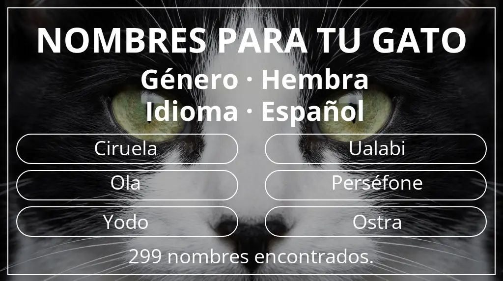 Nombres para gatos basados en género hembra y idioma español