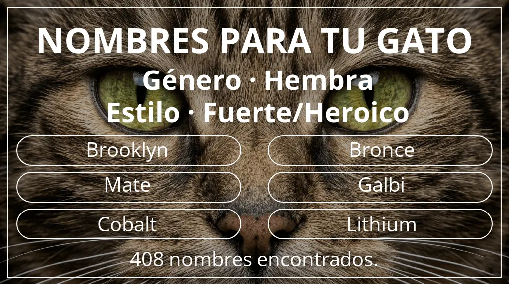 Nombres para gatos relacionados con género hembra y estilo fuerte/heroico