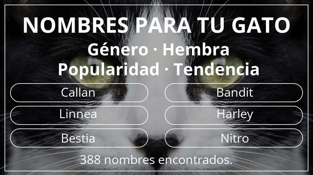 Nombres para gatos relacionados con género hembra y popularidad tendencia