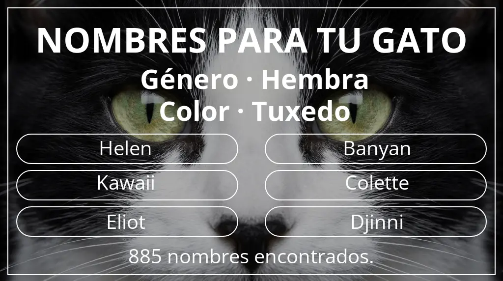 Nombres felinos inspirados en género hembra y color tuxedo