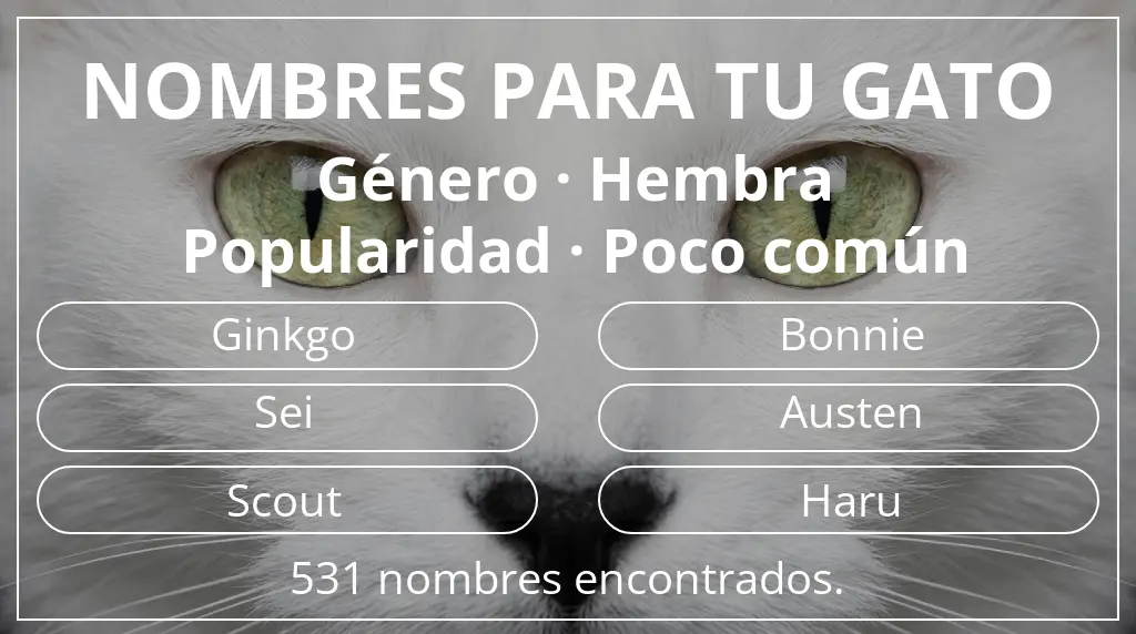 Nombres para gatos inspirados en género hembra y popularidad poco común