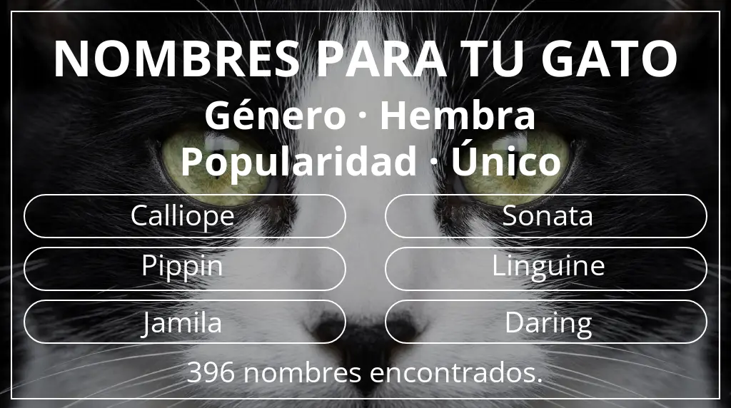Nombres para gatos basados en género hembra y popularidad único