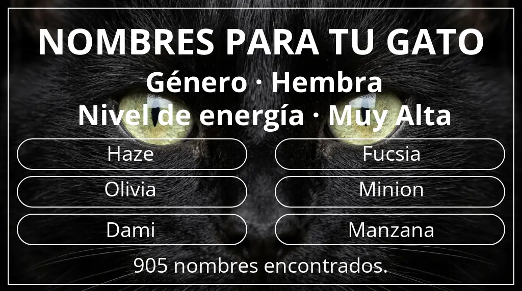 Nombres para gatos relacionados con género hembra y nivel de energía muy alta