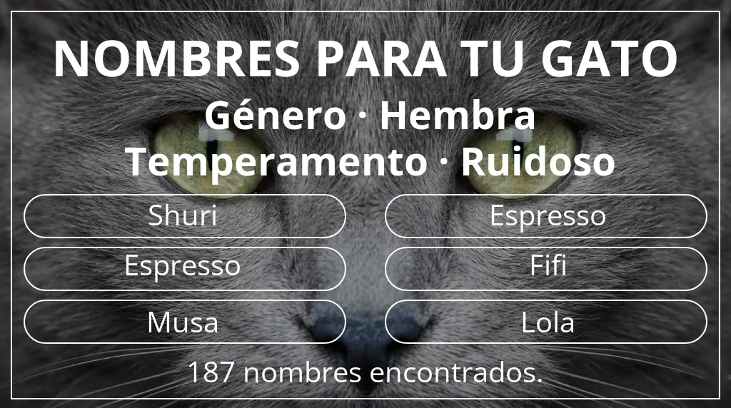 Nombres para gatos relacionados con género hembra y temperamento ruidoso