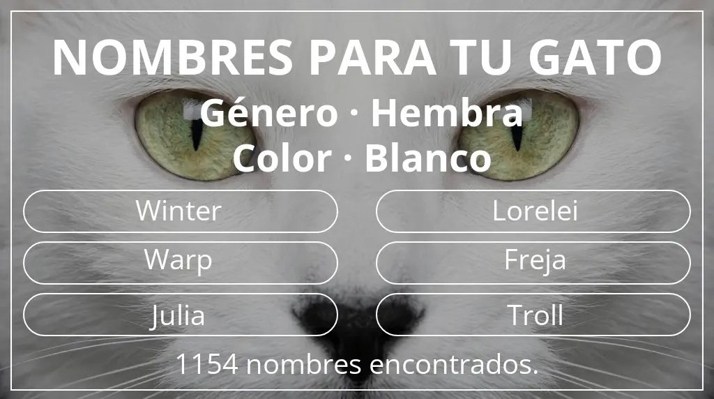 Nombres para gatos relacionados con género hembra y color blanco