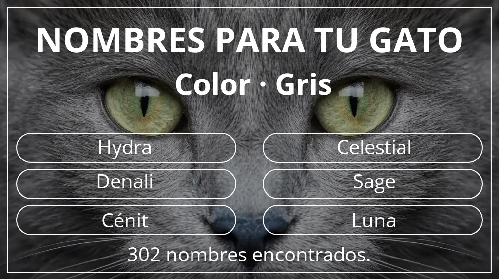 Nombres felinos relacionados con color gris
