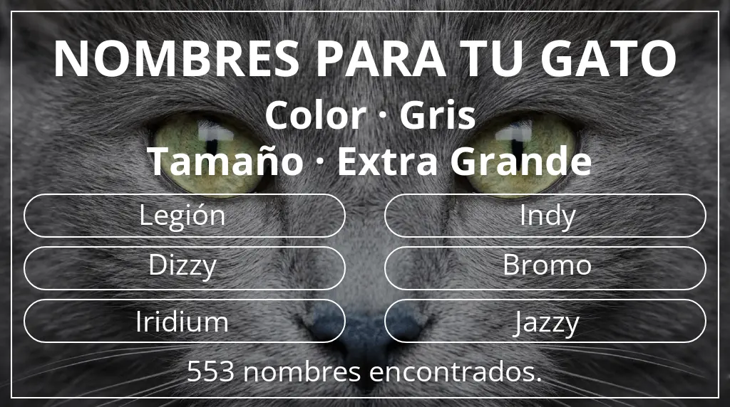 Nombres felinos relacionados con color gris y tamaño extra grande
