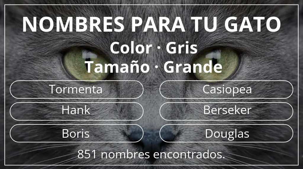Nombres felinos relacionados con color gris y tamaño grande