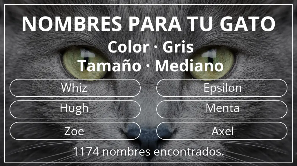 Nombres felinos relacionados con color gris y tamaño mediano