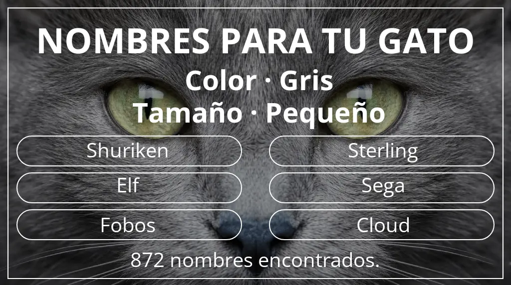 Nombres para gatos relacionados con color gris y tamaño pequeño