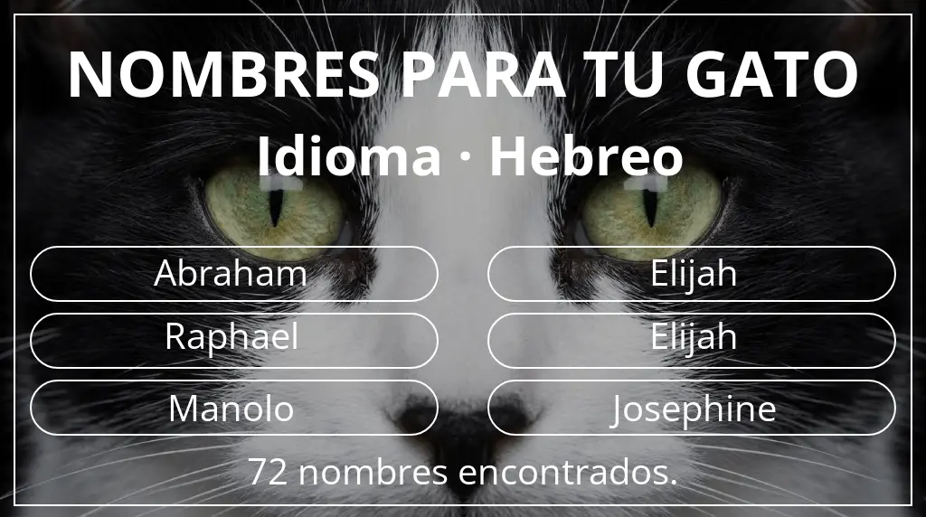 Nombres felinos basados en idioma hebreo