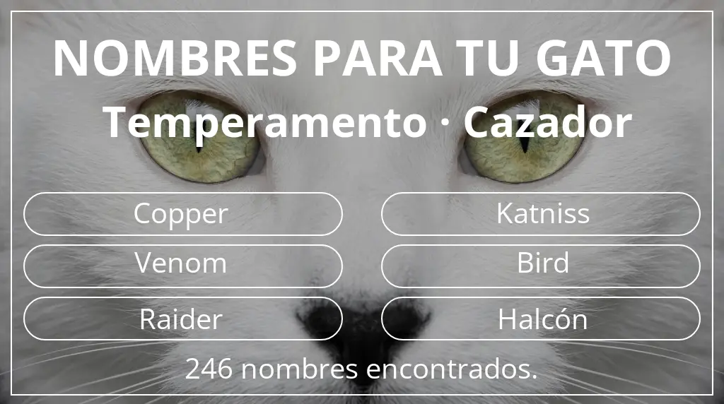 Nombres para gatos inspirados en temperamento cazador
