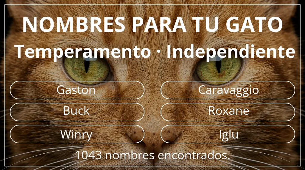 Nombres para gatos basados en temperamento independiente