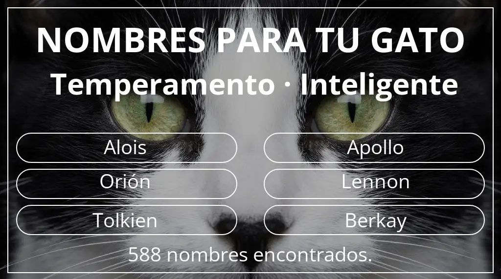 Nombres felinos basados en temperamento inteligente