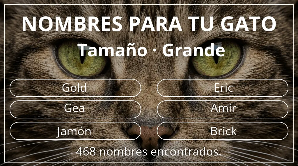 Nombres para gatos relacionados con tamaño grande