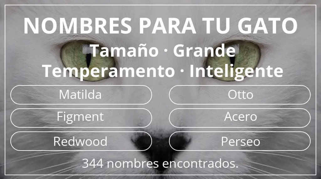 Nombres felinos inspirados en tamaño grande y temperamento inteligente