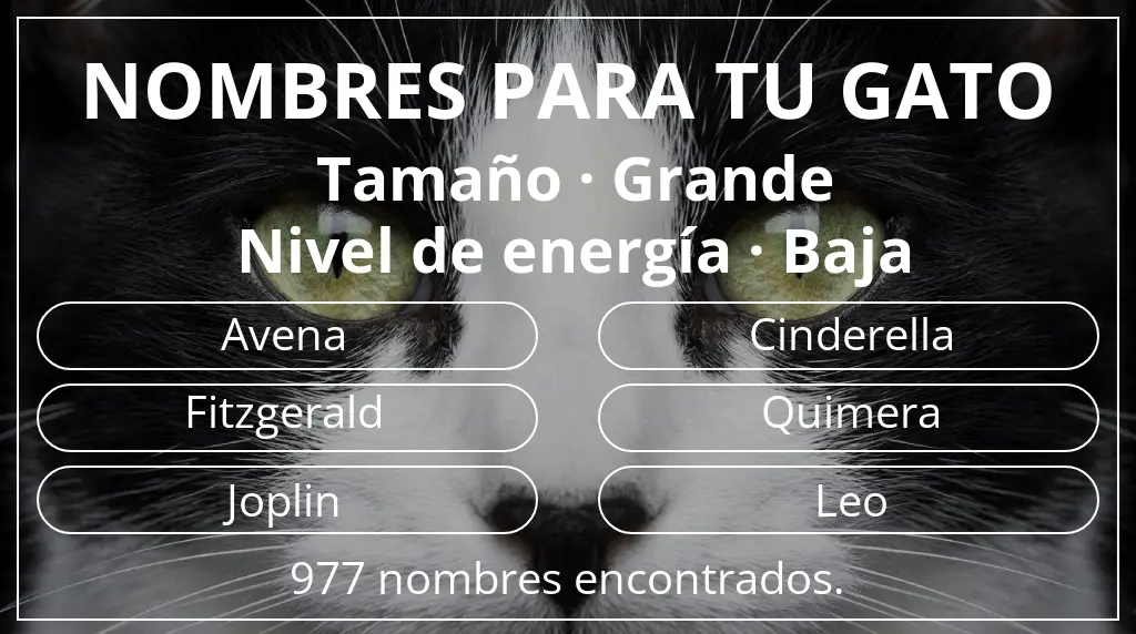 Nombres felinos relacionados con tamaño grande y nivel de energía baja